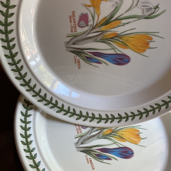2 Portmeirion dinner plates 10.5” in 1.5” deep pasta GALANTHUS CROCUS England - Picture 12 of 12